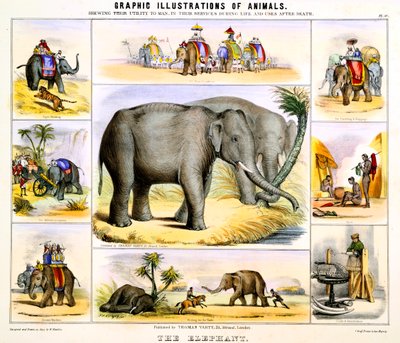 Der Elefant, um 1850 von Benjamin Waterhouse Hawkins