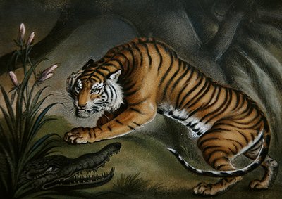 Tiger und Krokodil, ca. 1810 von Benjamin Zobel