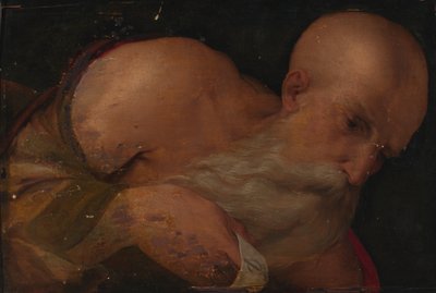 Porträt eines Mannes von Benvenuto Tisi da Garofalo