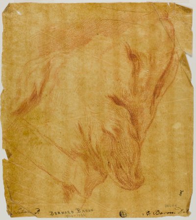 Kopf eines Hundes von Bernard Baron