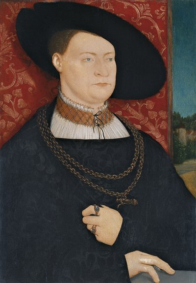 Porträt eines Mannes von Bernhard Strigel