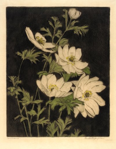 Anemonen von Bertha E. Jaques