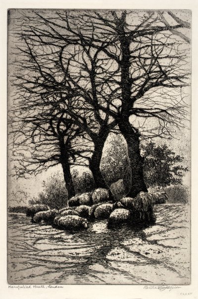 Hampstead Heath, London von Bertha E. Jaques