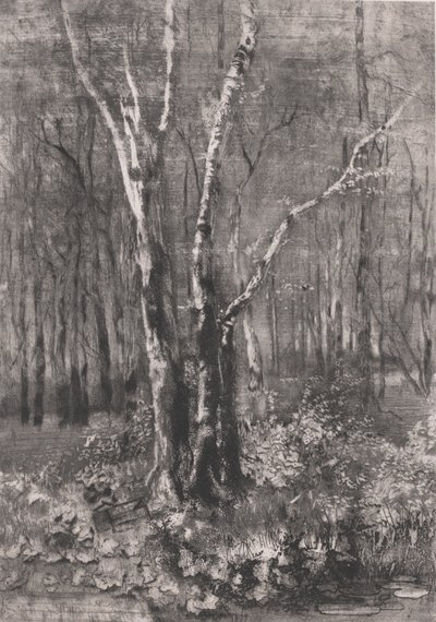 Wald im Park bei Monza, 1895 von Bianchi Mose