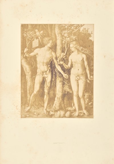 Adam und Eva von Bisson Frères