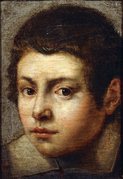 Der Kopf eines Jungen von Bolognese School