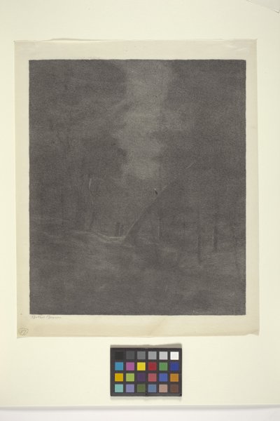 Mondscheinwald von Bolton Coit Brown
