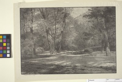 Sierra-Wälder von Bolton Coit Brown