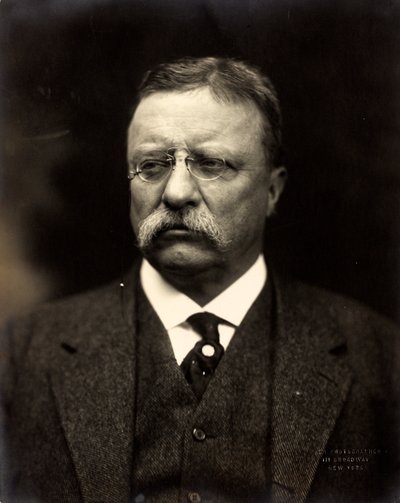Theodore Roosevelt, ca. 1915 von Brothers Pach
