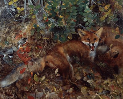Füchse von Bruno Andreas Liljefors