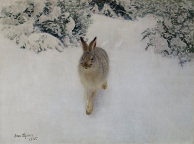 Hase im Winter von Bruno Andreas Liljefors