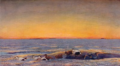 Sonnenaufgang, 1896 von Bruno Andreas Liljefors