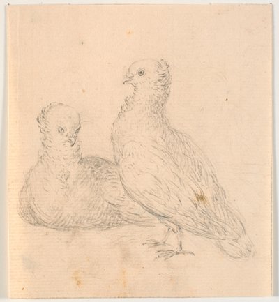 Zwei Tauben von C.A. Lorentzen