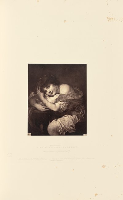 Mädchen mit Taube, von Greuze von Caldesi and Montecchi