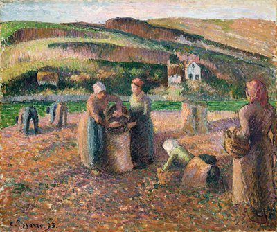 Kartoffeln ernten, 1893 von Camille Jacob Pissarro
