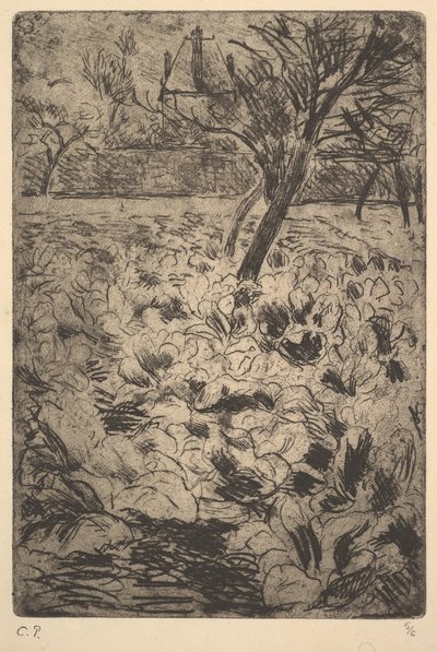 Das Kohlbeet, ca. 1880 von Camille Jacob Pissarro