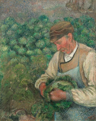 Der Gärtner - Alter Bauer mit Kohl von Camille Pissarro