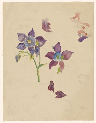 Blumenstudie von Carel Adolph Lion Cachet