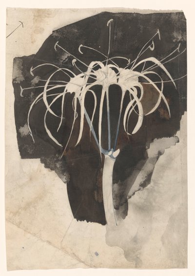 Studie von Geißblatt von Carel Adolph Lion Cachet