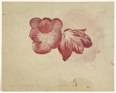 Zwei rote Tulpen von Carel Adolph Lion Cachet