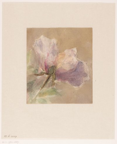 Verwelkte Rose von Carel Nicolaas Storm van 