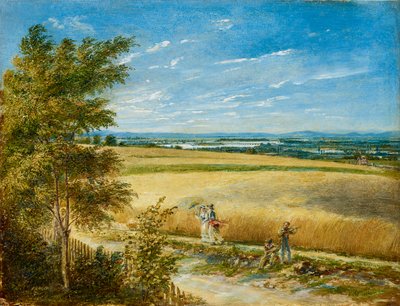 Die Donau mit der alten Reichsbrücke von Carl Agricola