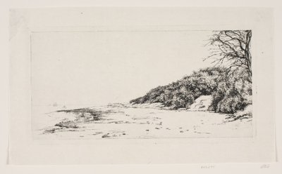 Die Klippe am Meer von Carl Bloch