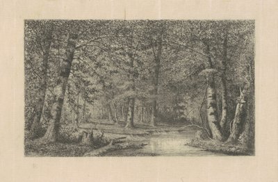 Buchenwald von Carl C. Brenner
