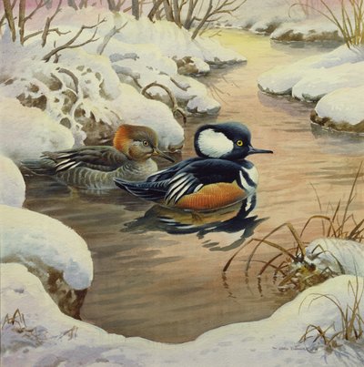 Kappensäger auf einem Teich von Carl Donner
