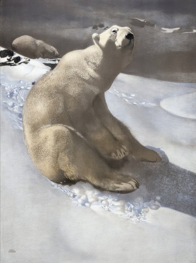 Eisbär von Carl Ederer
