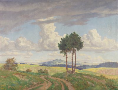Feldweg von Carl Gödel