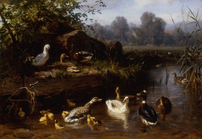 Enten und Entenküken in einem Bach von Carl Jutz