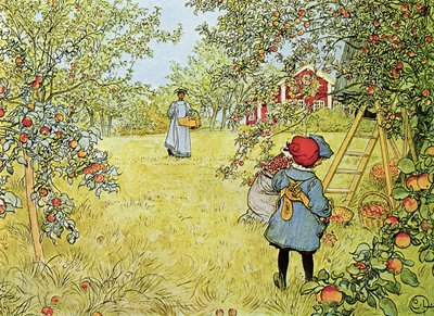 Die Apfelernte von Carl Larsson