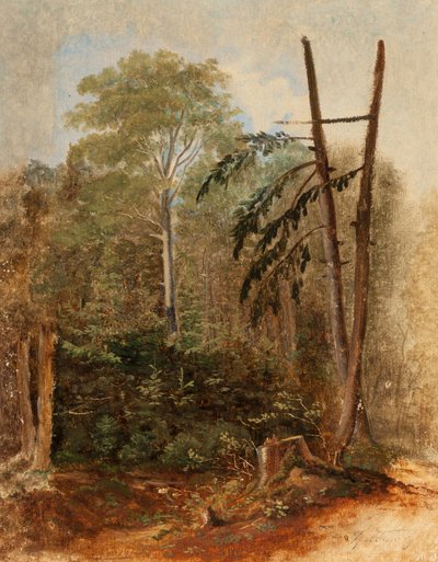 Studie einer Waldlandschaft von Carl Spitzweg