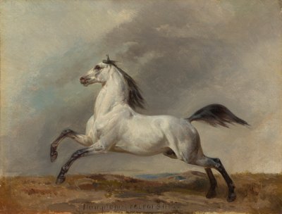 Schimmelhengst nach links von Carl Steffeck