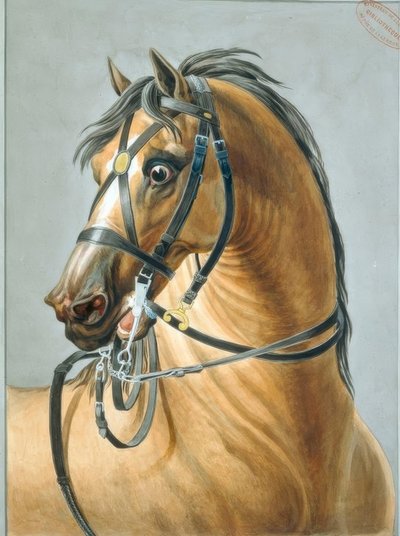 Zaumzeug für Artilleriepferde von Carle Vernet