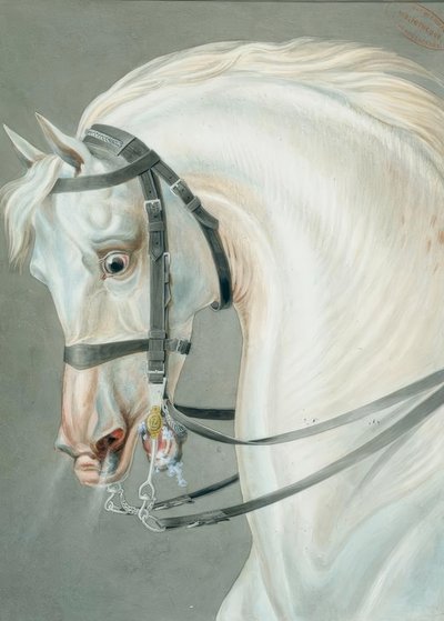Zaumzeug für die Karabinierspferde von Carle Vernet