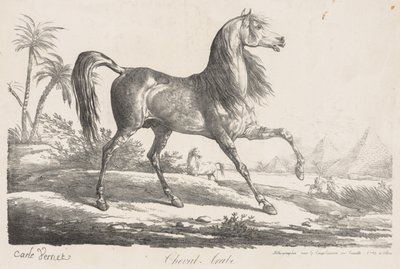 Suite de Chevaux: Arabisches Pferd von Carle Vernet