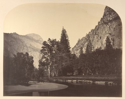 Camp Grove, in der Nähe von Sentinel, 1861, Yosemite von Carleton Emmons Watkins