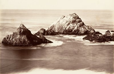 Seal Rocks, 1868-69, gedruckt ca. 1876 von Carleton Emmons Watkins