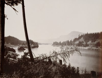 Blick auf den Columbia, Kaskaden von Carleton Emmons Watkins