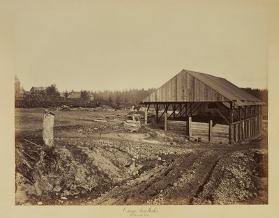 Oswego Eisenwerke, Willamette River von Carleton Watkins