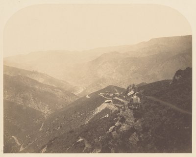 [Pine Tree Mine] von Carleton Watkins