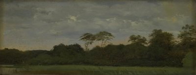 Eine Wiese an einem Waldsee von Carlo Dalgas