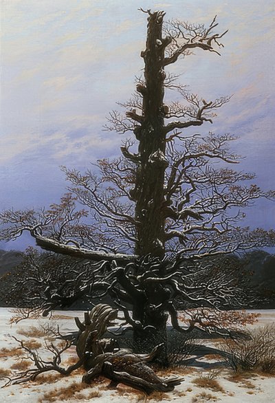 Eichbaum im Schnee von Caspar David Friedrich