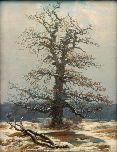 Eiche im Schnee von Caspar David Friedrich