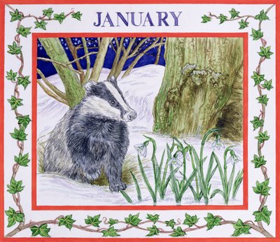 Januar von Catherine Bradbury