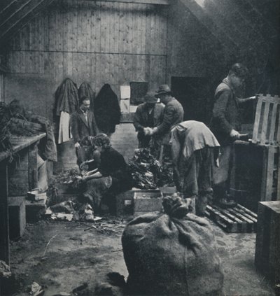 Gemüse für den Markt, 1941 von Cecil Beaton