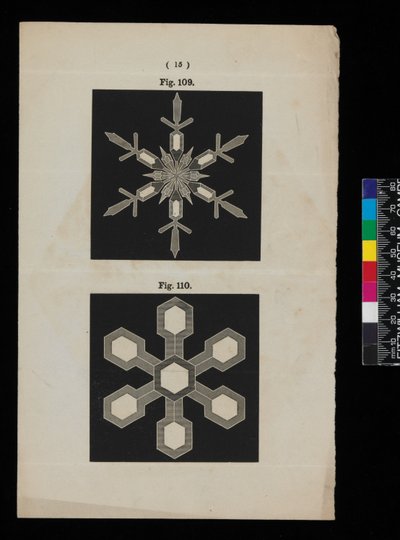 Schneekristalle von Cecilia Glaisher