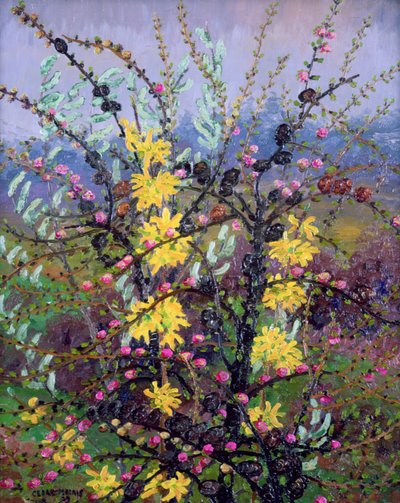 Sträucher von Cedric Morris